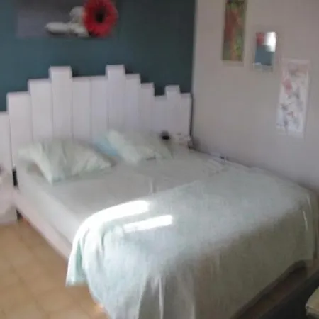Au Coeur De L Olivette Aubais